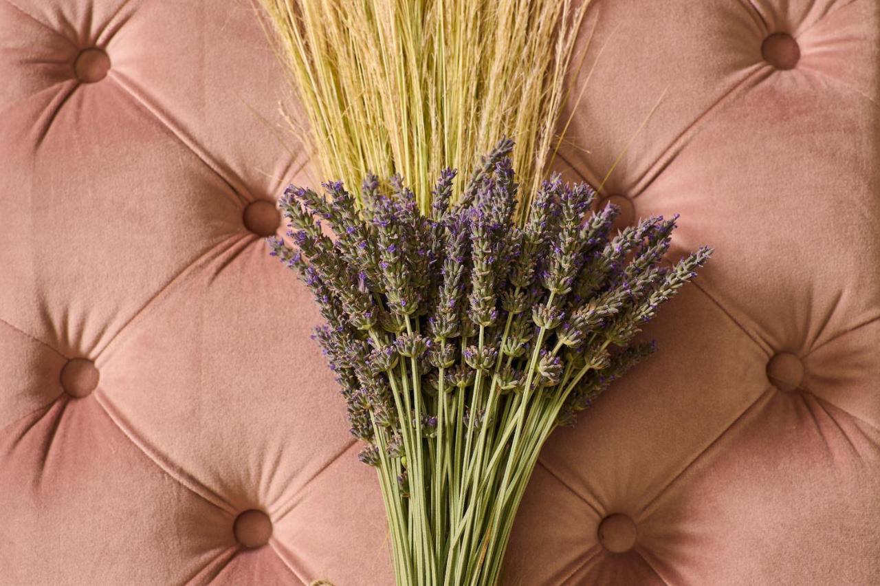 Olive Suite, Guesthouse By Villa Elia Markopoulo Mesogaias Bagian luar foto